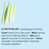 Infographic showing the main benefits of Lemongrass essential oil.