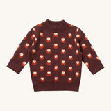 Little Green Radicals brown owl knitted jumper available at Babipur. A GOTS organic cotton soft knit jumper in brown with cute owls. Features a thicker collar and cuffs for warmth. 