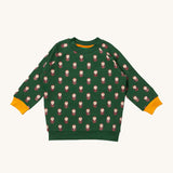 Little Green Radicals brown owl raglan sweatshirt available at Babipur. A GOTS organic cotton sweatshirt in green with yellow trim and a cute brown owl print