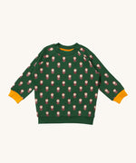 Little Green Radicals brown owl raglan sweatshirt available at Babipur. A GOTS organic cotton sweatshirt in green with yellow trim and a cute brown owl print