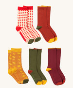 Little Green Radicals golden leaves ankle sock multipack set. A set of 5 GOTS organic cotton ankle socks in autumn inspired colours. 
