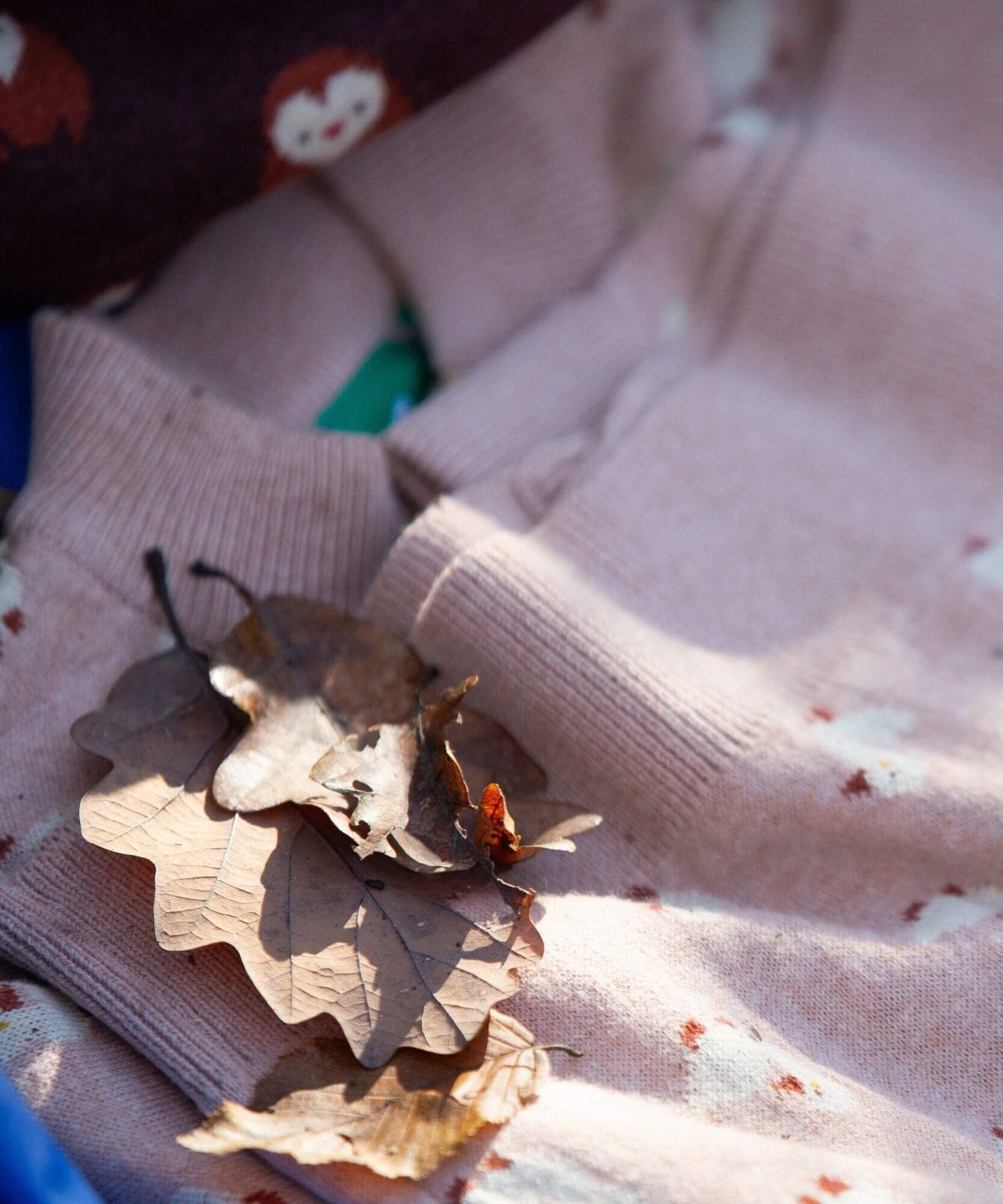 The soft pink Little Green Radicals knitted cardigan in puddle ducks with autumn leaves on top 