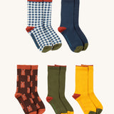 Little Green Radicals teddy bear ankle socks 5 pack available at Babipur. A GOTS organic cotton sock multipack includes a blue and white check, navy, yellow and green block ankle socks and a teddy bear ankle sock.