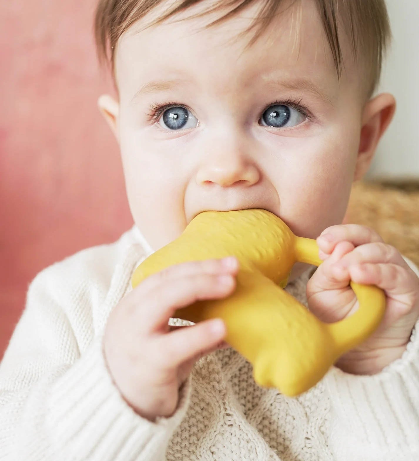 baby chewing lion teether