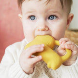 baby chewing lion teether
