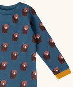 Close up of Little Green Radicals blue bears organic cotton long sleeve children's top.