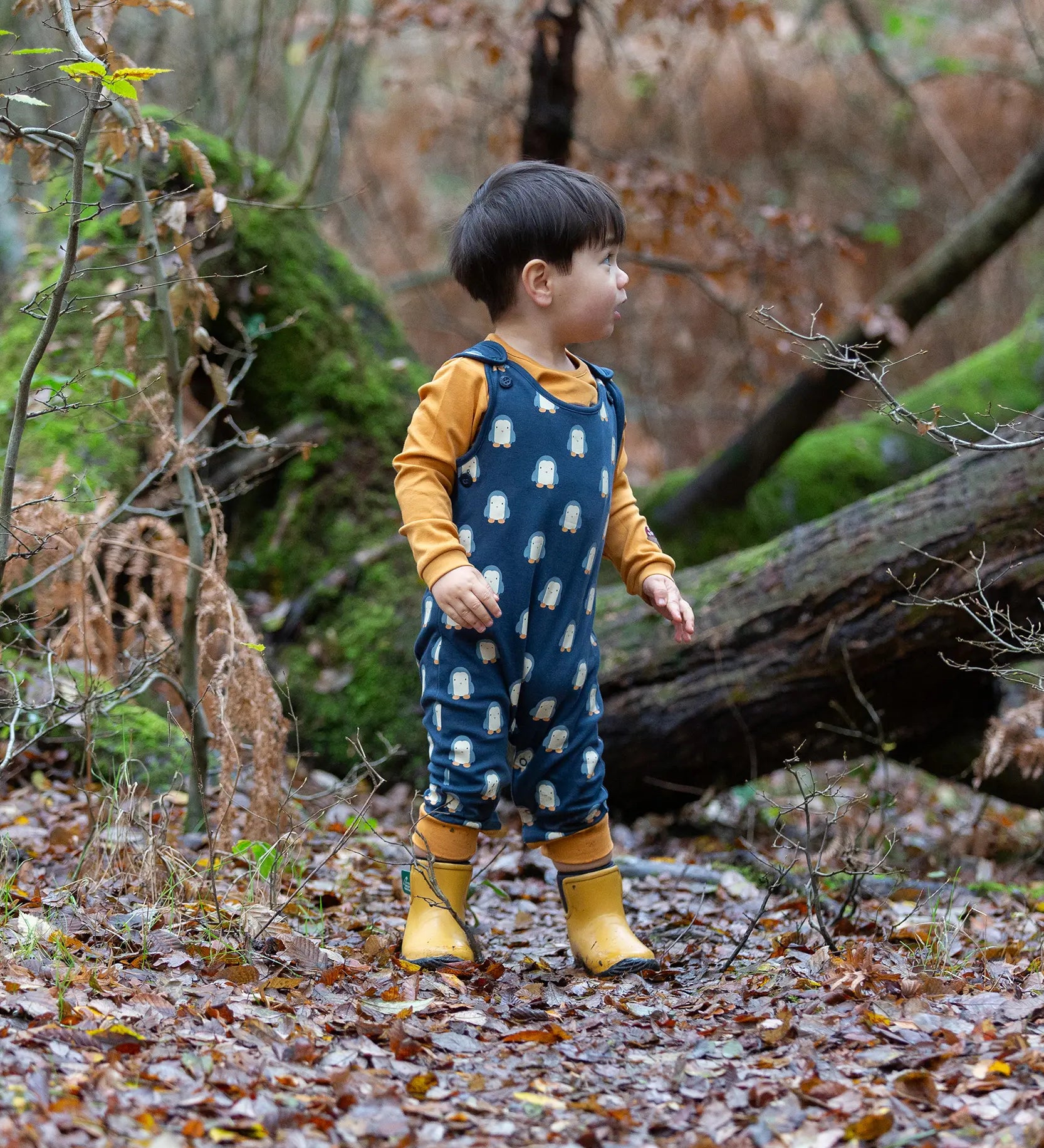 Child wearing Little Green Radicals  blue penguins everyday GOTS organic cotton dungarees, standing on a leaf covered ground in a forest. Navy blue background with an all over blue penguin print with yellow gold leg cuffs.