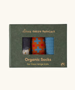 Little Green Radicals blue penguins organic cotton socks 3 pack in a cardboard gift box. 