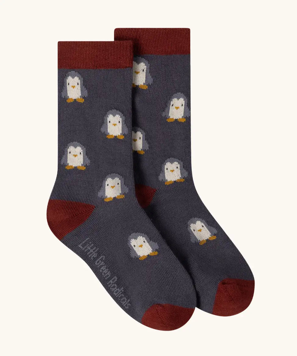 Penguin pattern socks from the Little Green Radicals blue penguins organic cotton socks 3 pack. 
