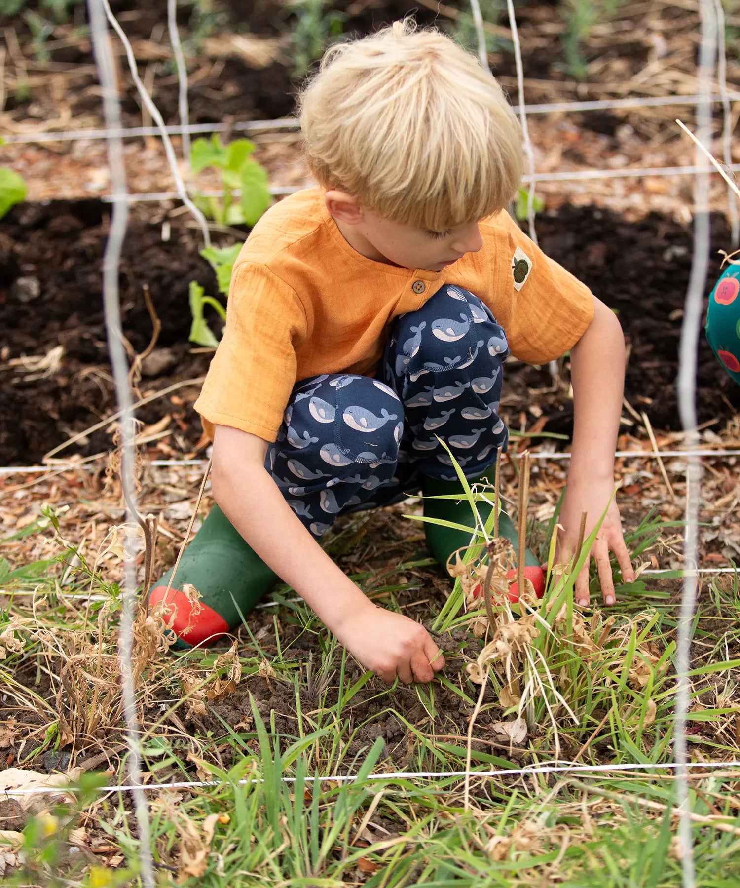 Child wearing the Little Green Radicals navy singing whales print comfy organic cotton joggers with a yellow muslin henley t-shirt and green and red wellingtons.