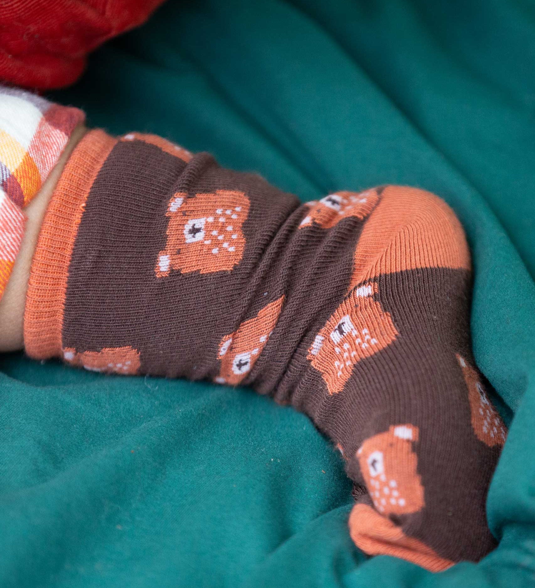 A close up of the Little Green Radicals brown teddy bear organic cotton socks on a child's feet. These socks are part of a wide range of organic cotton clothing and accessories for children available here at Babipur. 