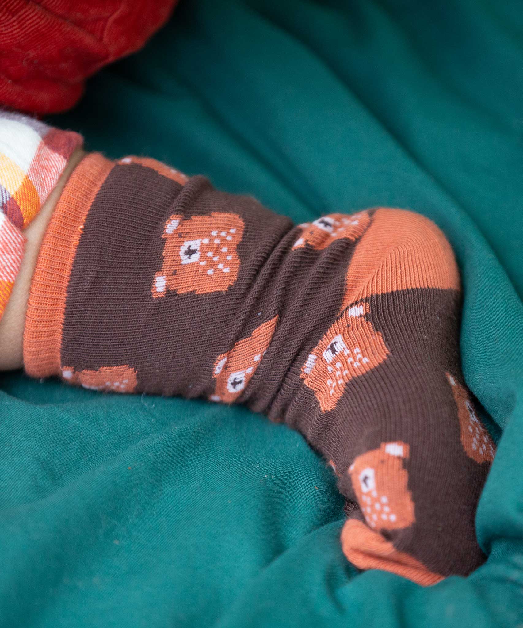 A close up of the Little Green Radicals brown teddy bear organic cotton socks on a child's feet. These socks are part of a wide range of organic cotton clothing and accessories for children available here at Babipur. 