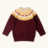 Little Green Radicals knitted organic cotton jumper with a mushroom Fair Isle. Brown jumper with mushroom air isle design around the neckline.