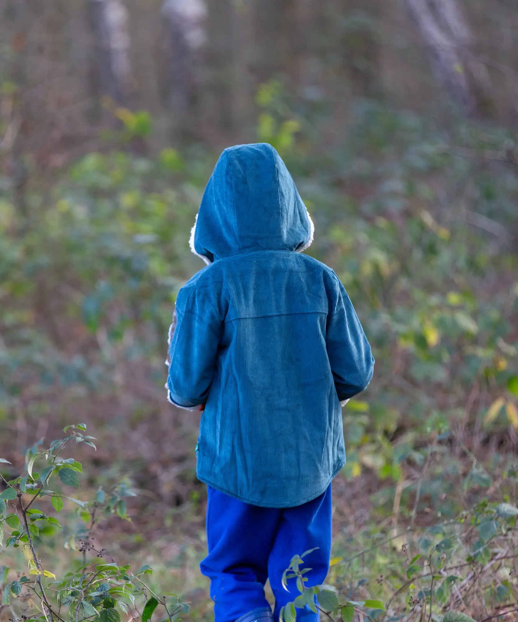 back of a child wearing a Little Green Radicals calm sea colourblock organic cotton sherpa lined toasty coat with hood up and blue trousers.