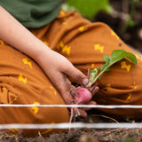 Close up of child kneeling down wearing the Little Green Radicals yellow gold repeat lightning print cosy organic cotton kids joggers with a green henley muslin t-shirt.