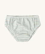 The blue and white striped pair from the Little Green Radicals children's organic cotton underwear 3 pack.