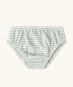 Blue and white striped briefs from the Little Green Radicals children's organic cotton underwear 3 pack bears design. Brief style pants one navy with a brown bear print, one red and one blue and white stripes.