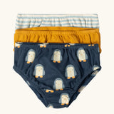 Little Green Radicals children's organic cotton underwear 3 pack in penguins design.