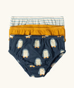 Little Green Radicals children's organic cotton underwear 3 pack in penguins design.