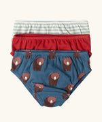 Little Green Radicals children's organic cotton underwear 3 pack bears design. Brief style pants one navy with a brown bear print, one red and one blue and white stripes.