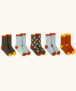 Little Green Radicals ducks organic cotton socks 5 pack.