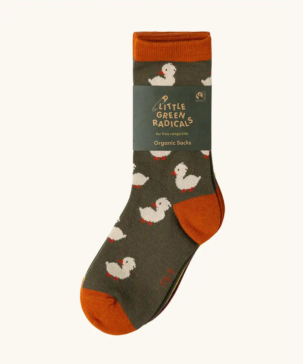 Duck pattern socks from the Little Green Radicals ducks organic cotton socks 5 pack in their card sleeve packaging.