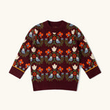 Little Green Radicals folk birds knitted organic cotton kids jumper.