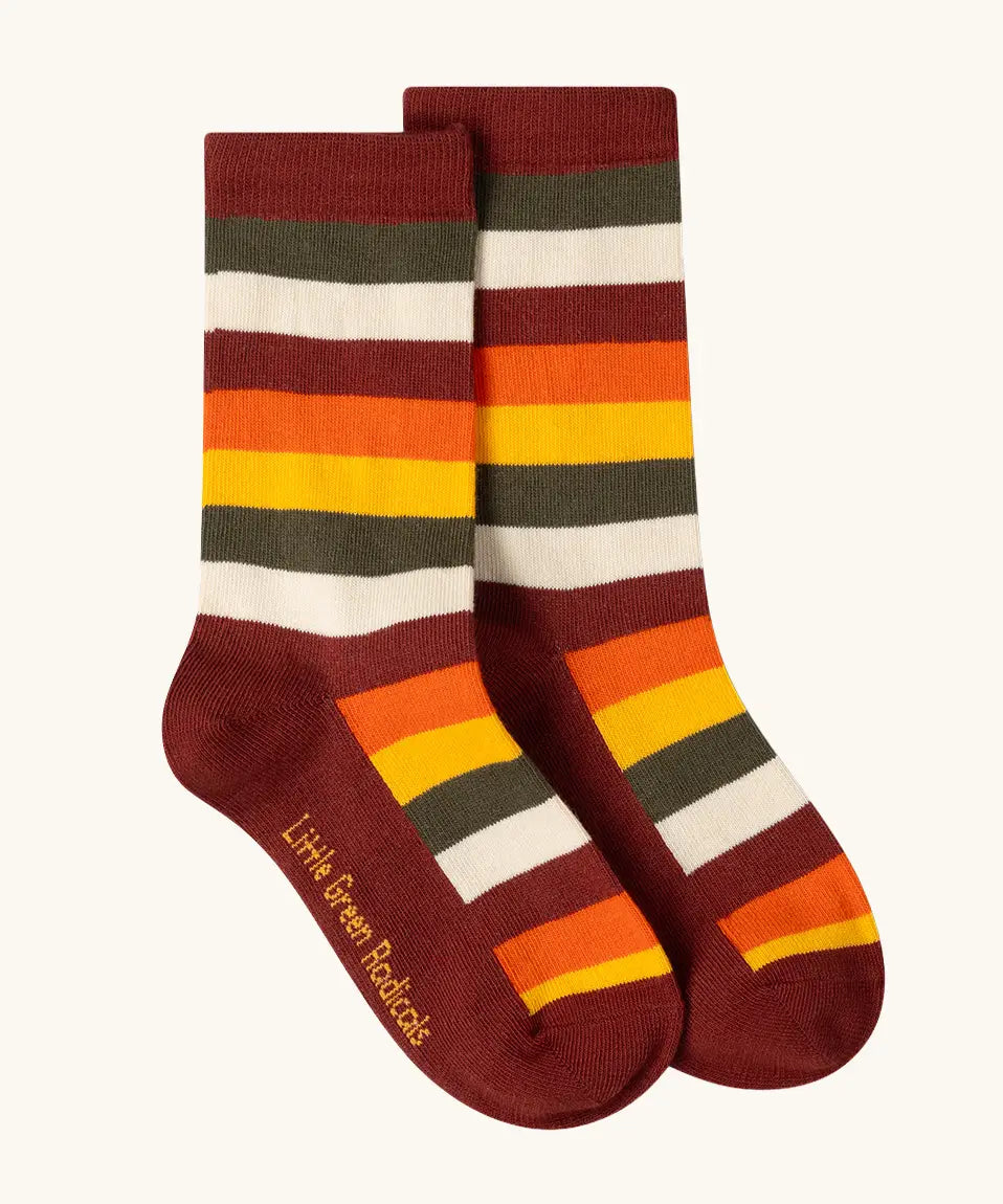 Rainbow stripe Little Green Radicals folk tales ankle socks in a 3 pack.