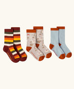 Little Green Radicals folk tales ankle socks in a 3 pack. One rainbow stripe, one fol tales and one light blue pair.