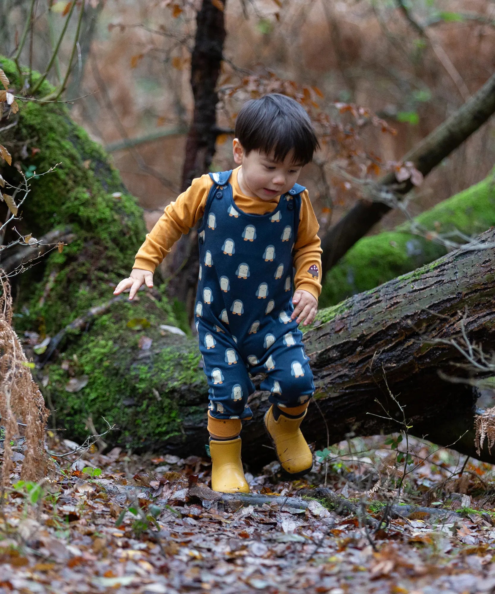 Child wearing Little Green Radicals  blue penguins everyday GOTS organic cotton dungarees, standing on a leaf covered ground in a forest. Navy blue background with an all over blue penguin print with yellow gold leg cuffs.
