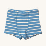 Little Green Radicals Blue Striped Organic Cotton Underwear Boxer Shorts