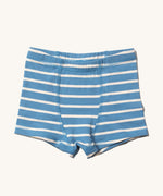 Little Green Radicals Blue Striped Organic Cotton Underwear Boxer Shorts