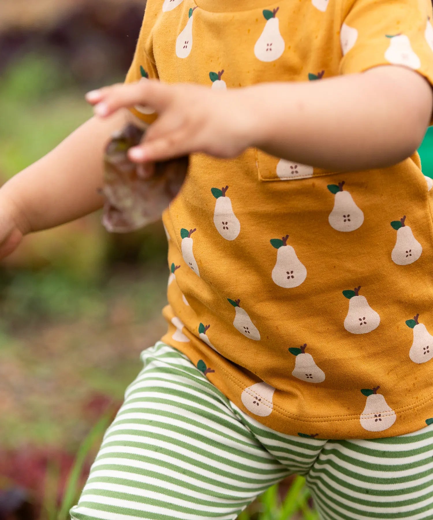 Close up of the front of the Little Green Radicals Summer pears organic cotton t-shirt and jogger playset being worn. Repeat pattern gold pear t-shirt with green and cream striped trousers.