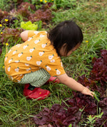 Back of the Little Green Radicals Summer pears organic cotton t-shirt and jogger playset being worn with red wellington boots. Repeat pattern gold pear t-shirt with green and cream striped trousers.