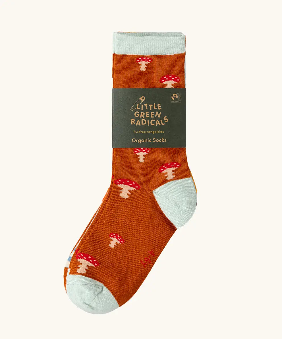 Little Green Radicals mushroom organic cotton socks 5 Pack in the card band packaging.