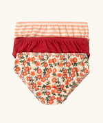 Little Green Radicals organic cotton underwear in a 3 pack. Brief style pants one with a petals print, one red, one pink and white stripes. 