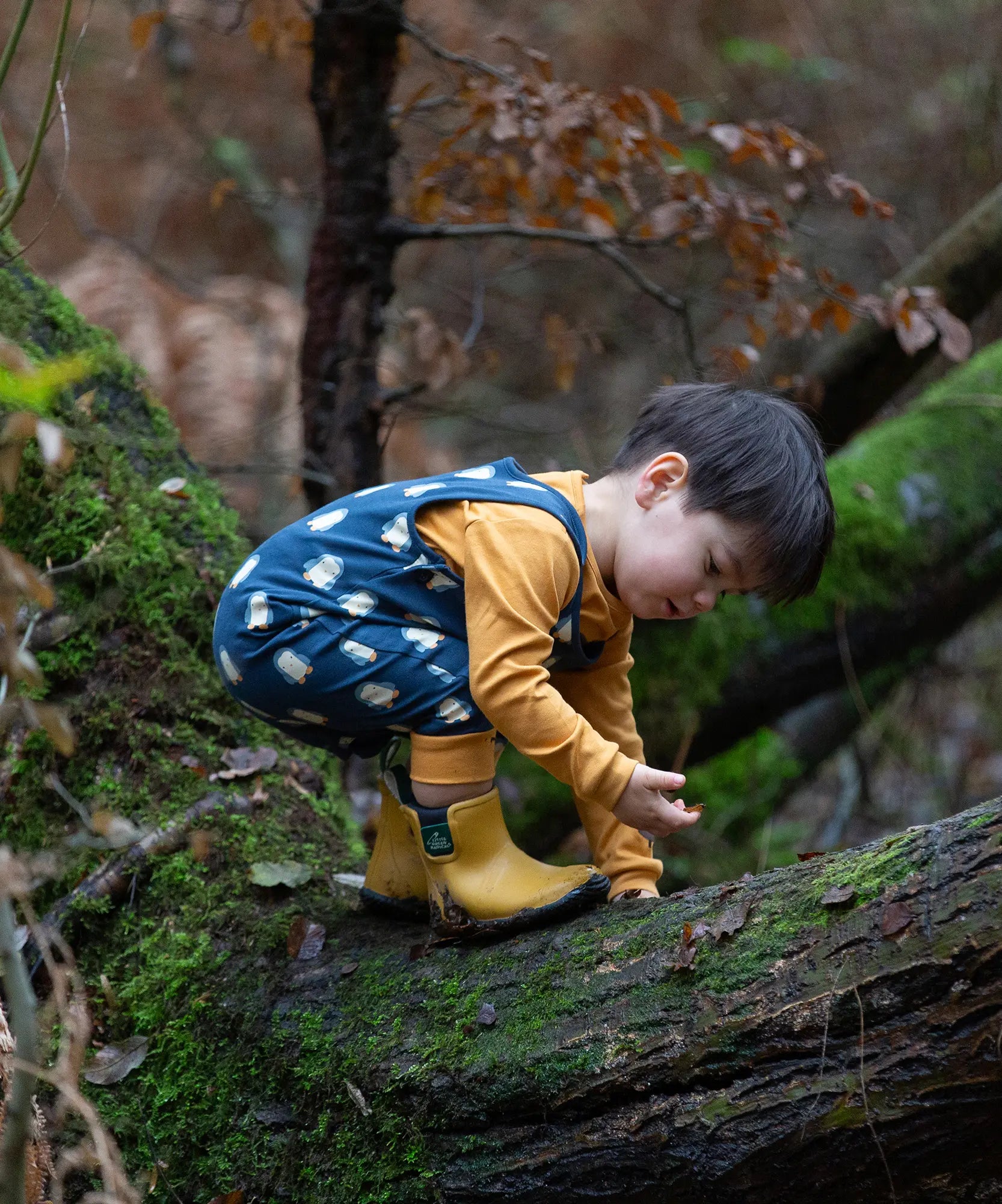 Child wearing Little Green Radicals  blue penguins everyday GOTS organic cotton dungarees, crouching on a large log in a forest. Navy blue background with an all over blue penguin print with yellow gold leg cuffs.
