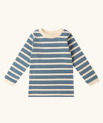 Little Green Radicals soft blue stripe organic cotton long sleeve top.