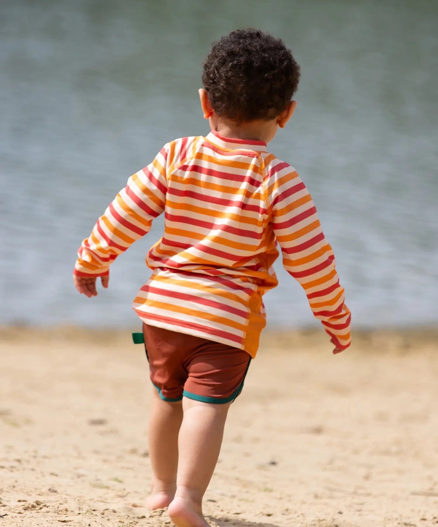 Back of child wearing the Little Green Radicals sorbet striped UPF 50 sunsafe long sleeve rash vest with dark red swim shorts.
