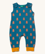 The Little Green Radicals Everyday Dungarees with a Teddy Bears print on a plain background.