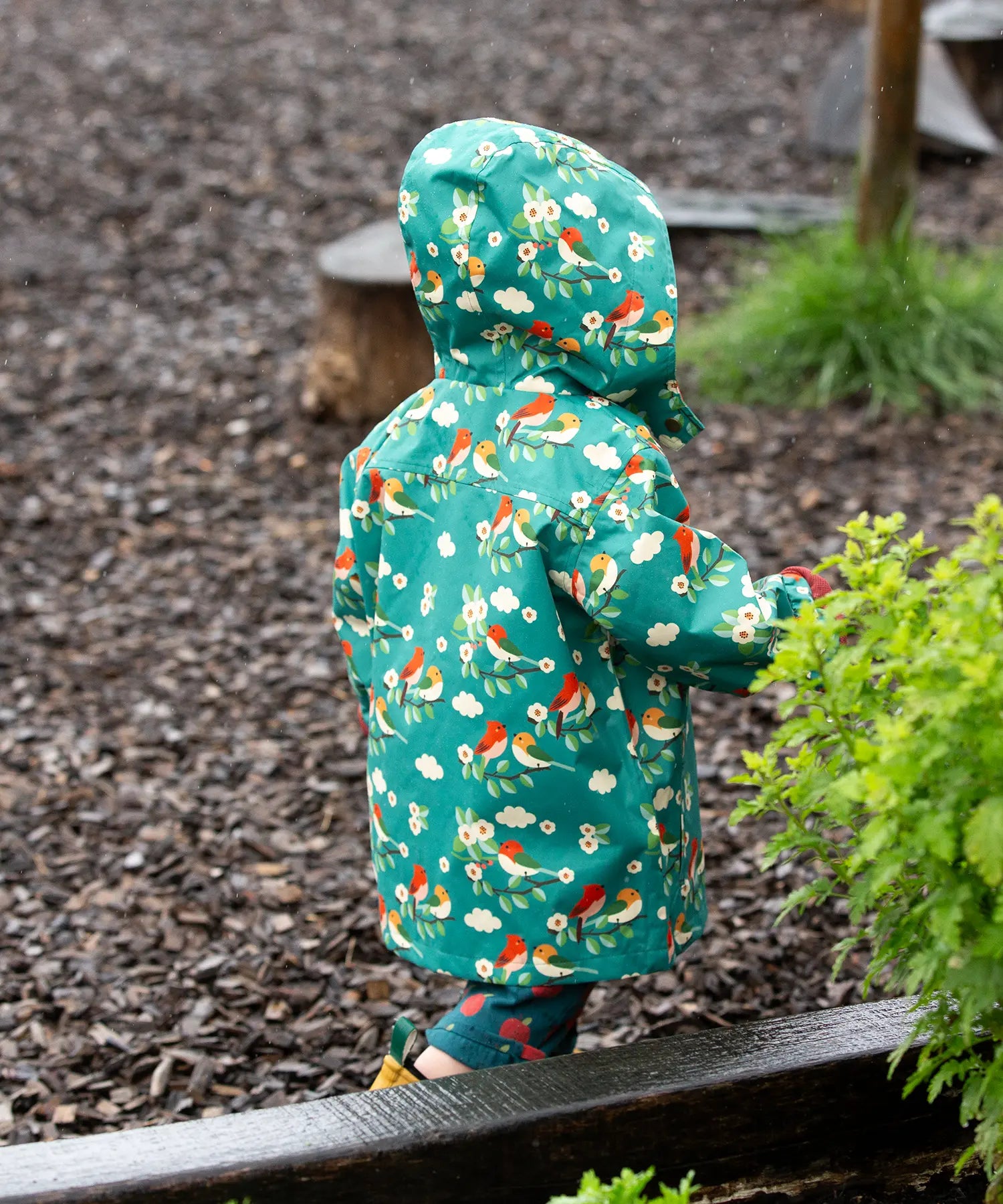Back of a child wearing the Little Green Radicals turquoise birds recycled waterproof kids raincoat with the hood up. Repeat pattern featuring bird on blossom branches.