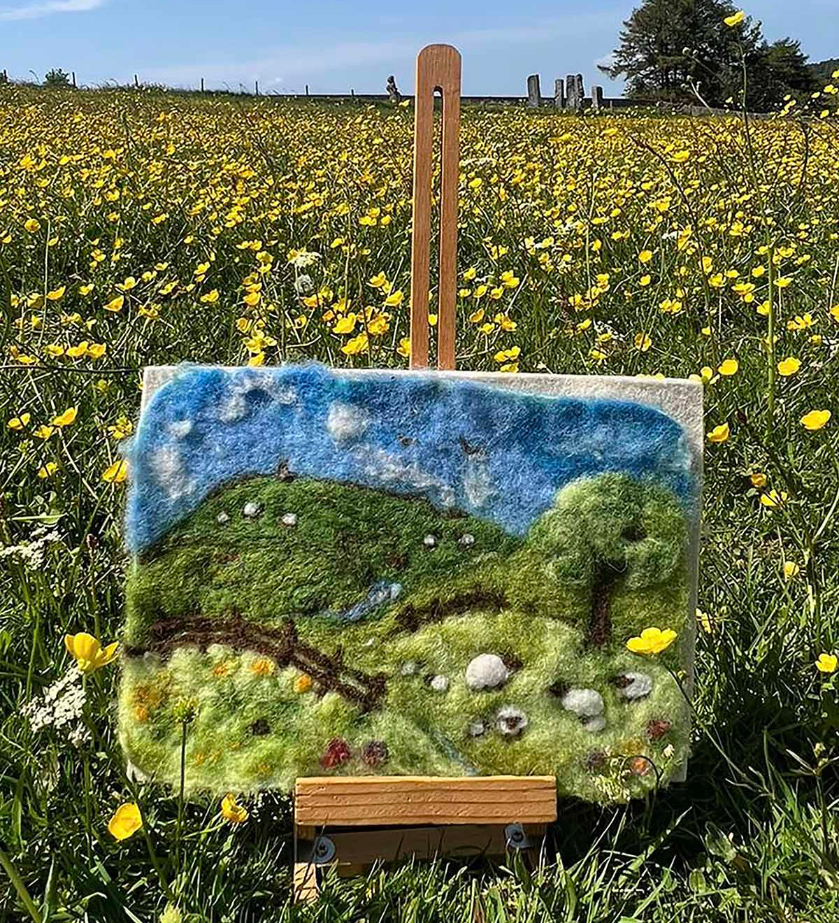 and gently rolling hills with a lovely blue sky with natural green landscape colours. There are sheep grazing i