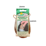 LoofCo coconut husk Washing-Up Scraper in cardboard packaging sleeve pictured on a plain white background with approximate product measurements 70mm by 110mm