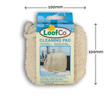 LoofCo Loofah Cleaning Pad pictured on a plain white background with product dimensions. 100mm by 100mm