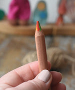 Close up of Lyra super Ferby 4 colour triangular rainbow pencil in an adult's hand.