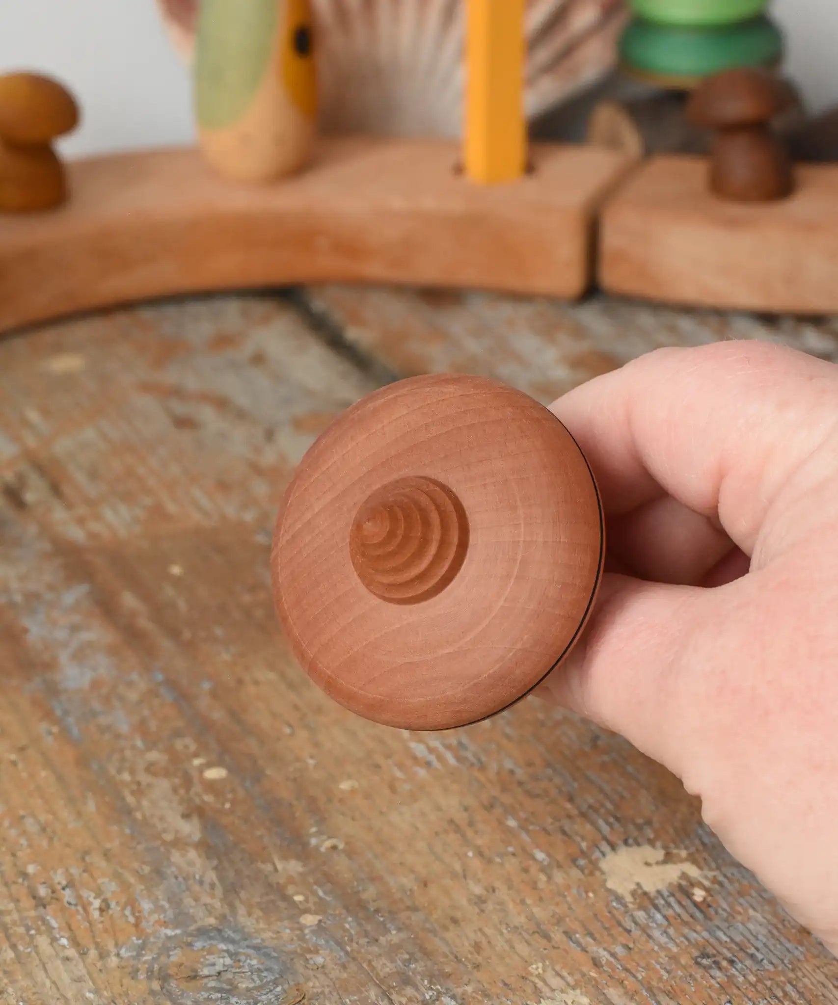 Bottom of the Mader ibis spinning top in an adult's hand.