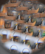 Mader Rainbow Kaleidoscope view through the lens of a an Ostheimer blackbird and a kraul basket. 