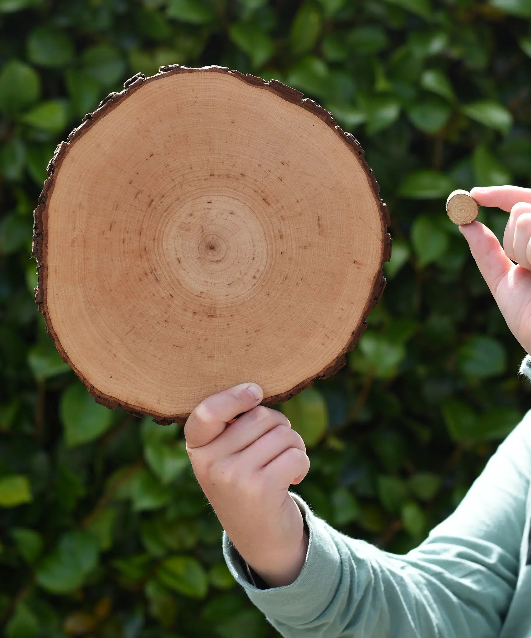 Child holding the largest and smallest piece from the Magic Wood Eco Blocks Big Box 70 piece set.