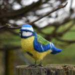 A felted blue tit bird perched on a gate post. The bird as been created using the Makerss - Small Blue Tit Needle Felt Kit