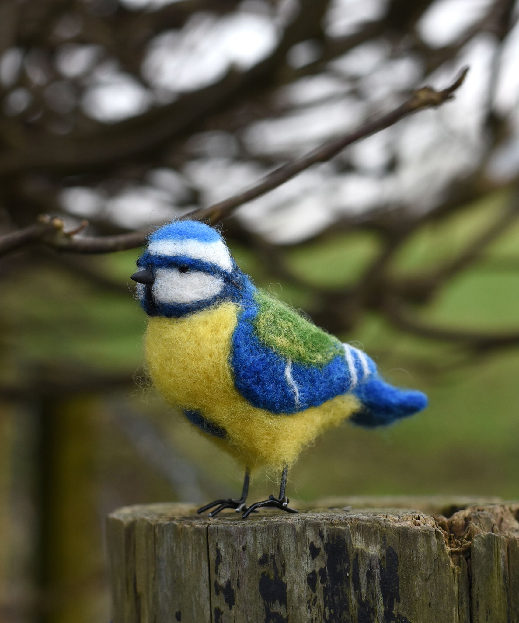 A felted blue tit bird perched on a gate post. The bird as been created using the Makerss - Small Blue Tit Needle Felt Kit